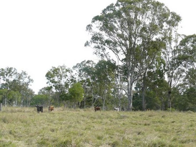 33/ River Road, Tinana QLD 4650