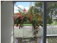 Granville QLD 4650