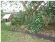 53 Rawson Street, Aldershot QLD 4650