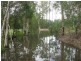 1193 Mungar Road, Mungar QLD 4650