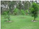 1193 Mungar Road, Mungar QLD 4650