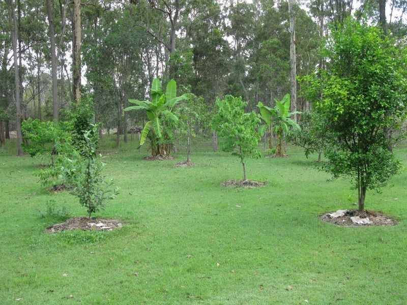 1193 Mungar Road, Mungar QLD 4650