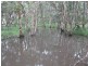 1193 Mungar Road, Mungar QLD 4650