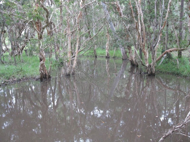 1193 Mungar Road, Mungar QLD 4650