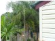 246 Woongool Road, Tinana QLD 4650