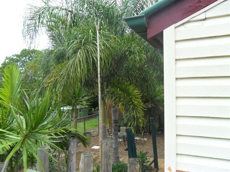 246 Woongool Road, Tinana QLD 4650