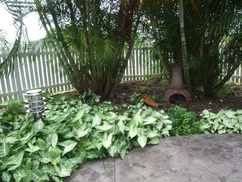 Maryborough QLD 4650