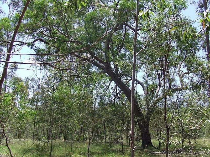 Lot 64 Gigoomgan Road, Brooweena QLD 4620