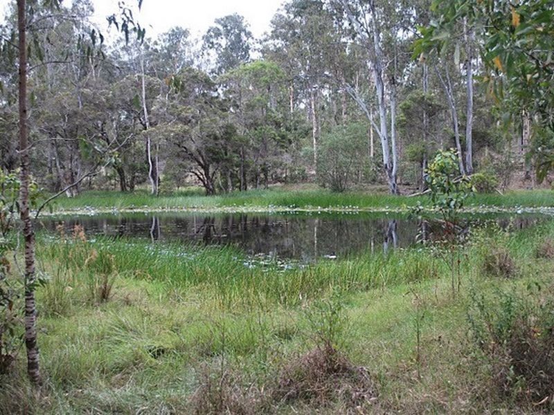 Lot 64 Gigoomgan Road, Brooweena QLD 4620
