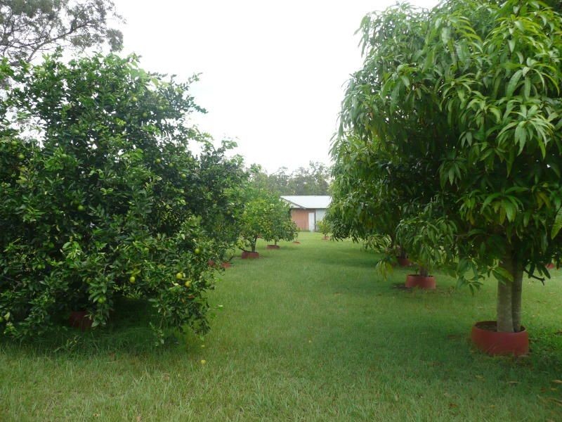 48 Banksia Road, Bauple QLD 4650