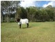27 Rupert Court, Maryborough QLD 4650