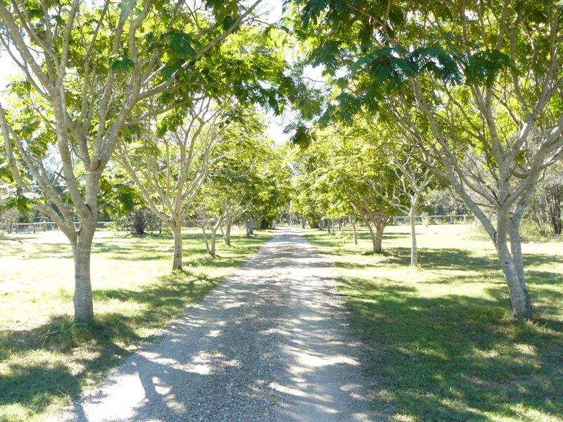 151 Philip Drive, Tinana QLD 4650