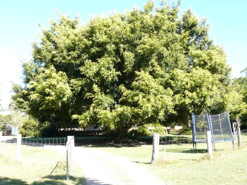 151 Philip Drive, Tinana QLD 4650