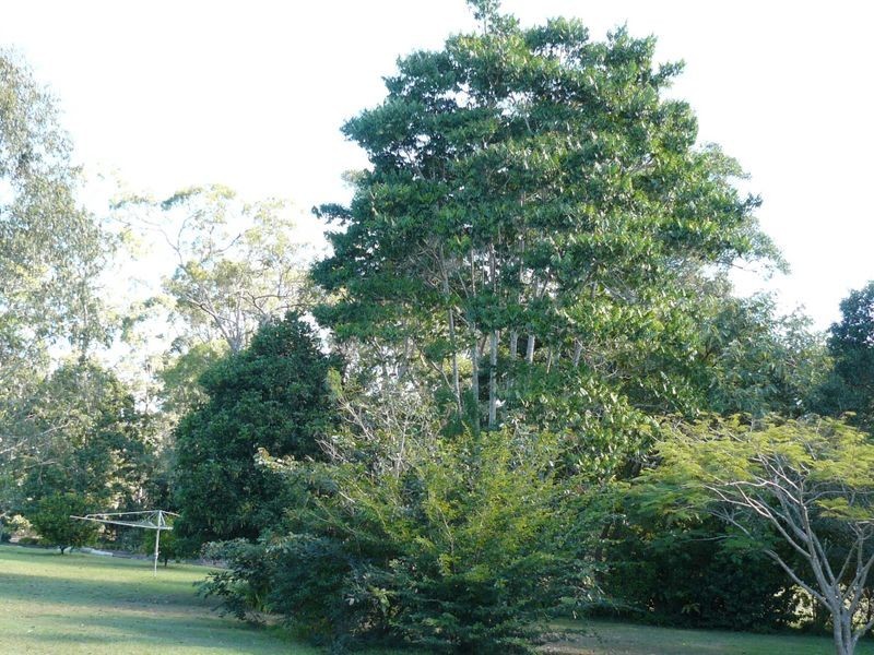 151 Philip Drive, Tinana QLD 4650