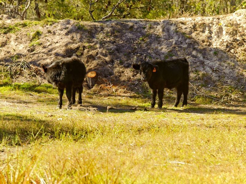 Burrum Heads QLD 4659