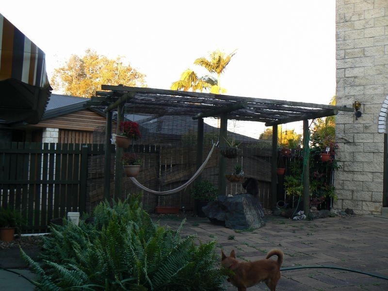 8 Cassia Court, Tinana QLD 4650