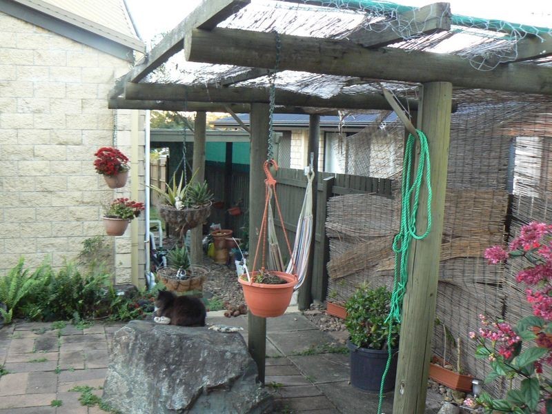 8 Cassia Court, Tinana QLD 4650