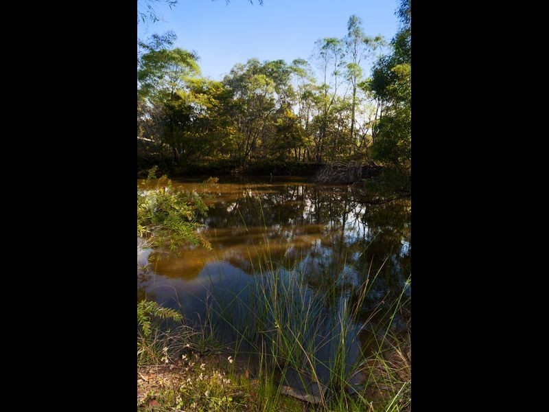 62 Neil Road, Maryborough West QLD 4650