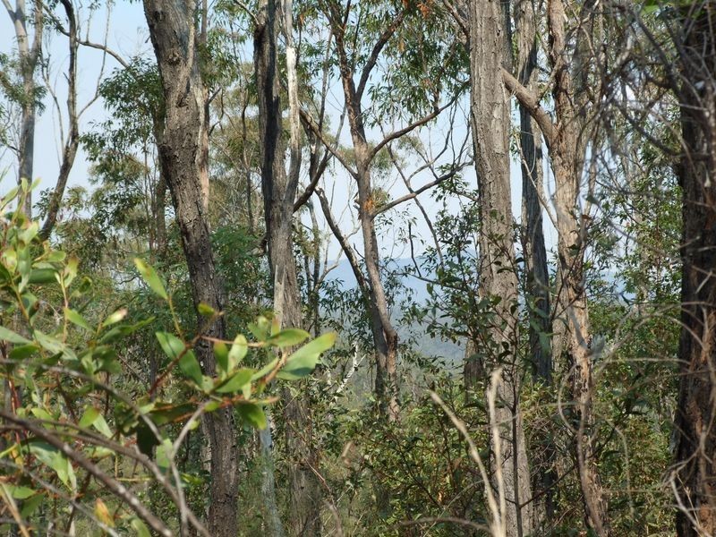 0 Glenbar Road, Aramara QLD 4620