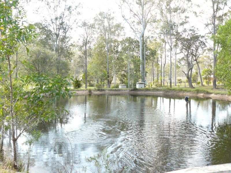 103 Philip Drive, Tinana QLD 4650