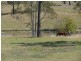 414 Glenbar Road, Maryborough QLD 4650