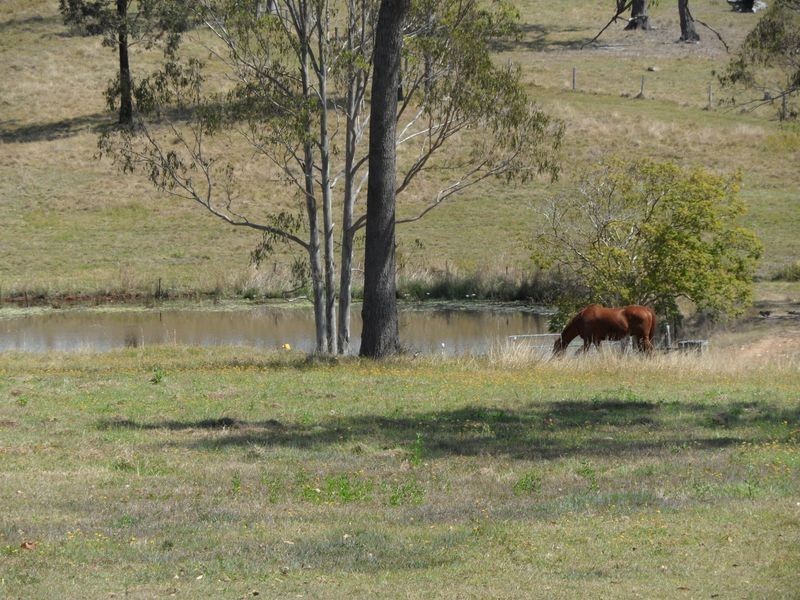 414 Glenbar Road, Maryborough QLD 4650
