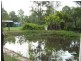 141 Springvale Road, Tinana QLD 4650
