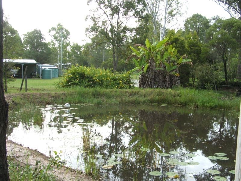 141 Springvale Road, Tinana QLD 4650