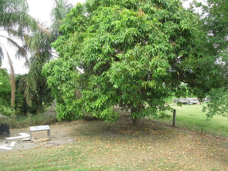 119 Ann Street, Maryborough QLD 4650