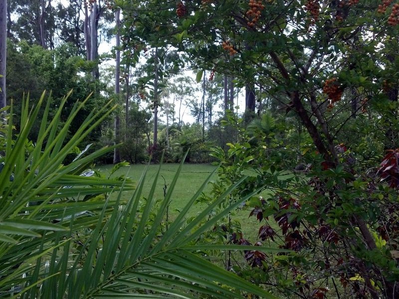 342 Old Gayndah Road, Maryborough West QLD 4650