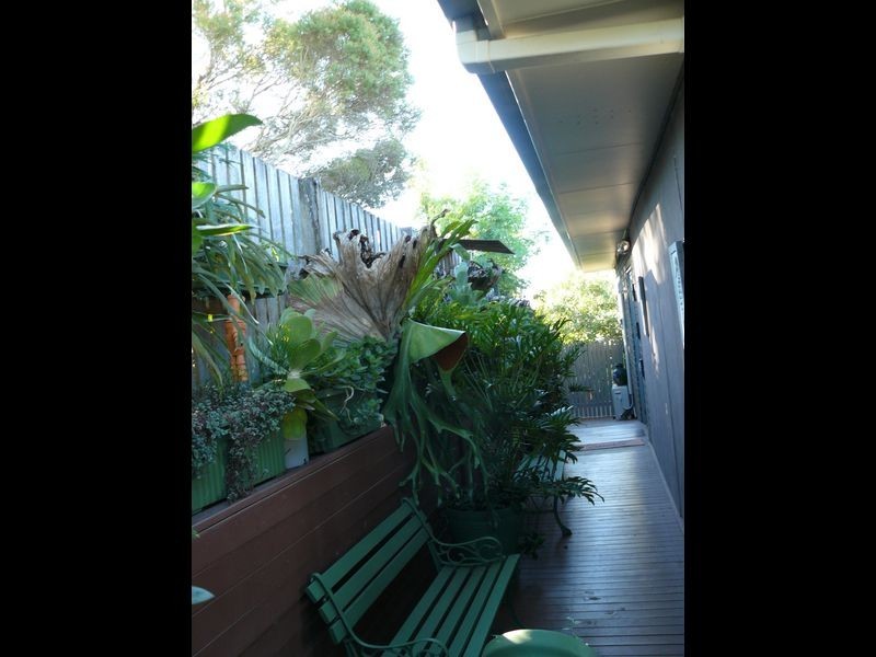 12 Azalea Court, Tinana QLD 4650