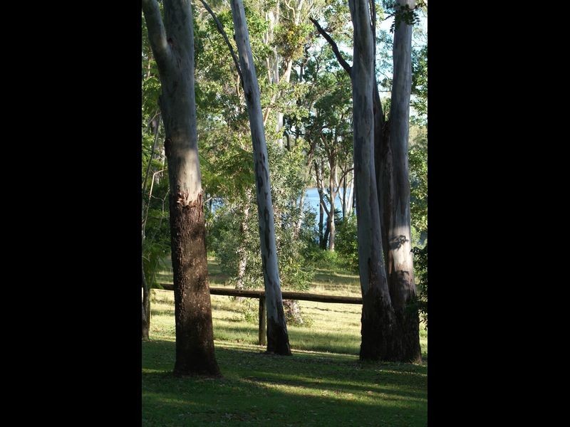 6 McLaughlin Road, Tinana QLD 4650