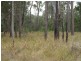 Lot 10 Stottenville Road, Bauple QLD 4650