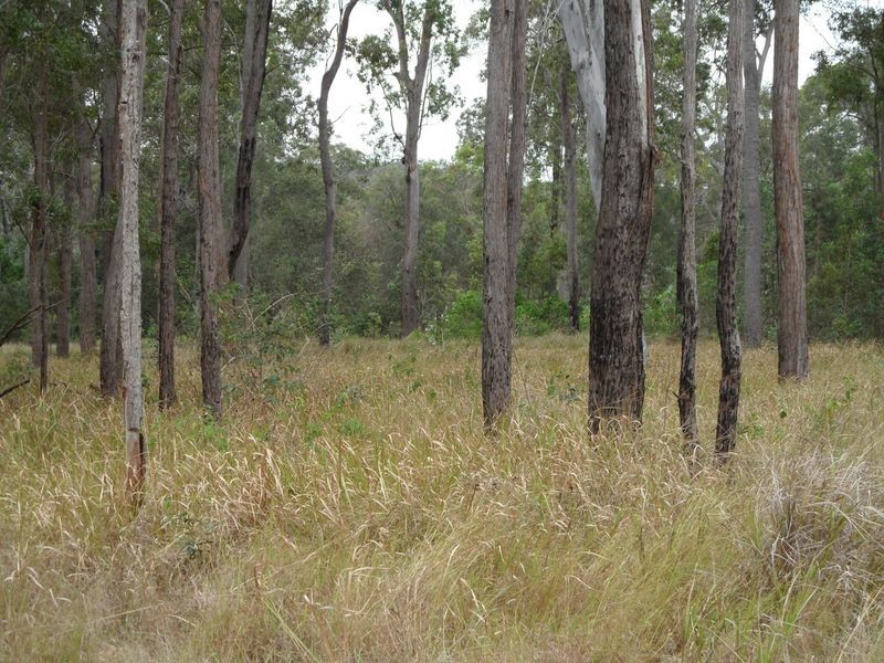 Lot 10 Stottenville Road, Bauple QLD 4650