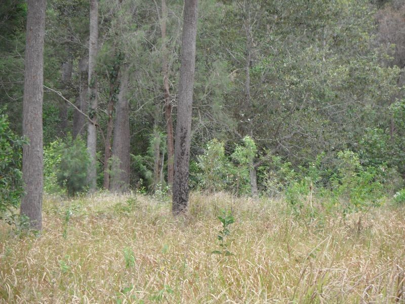 Lot 10 Stottenville Road, Bauple QLD 4650