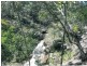 0 Branch Road North, Mount Perry QLD 4671