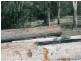 0 Branch Road North, Mount Perry QLD 4671