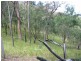 0 Branch Road North, Mount Perry QLD 4671