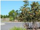 Timbers Reserve, Maryborough West QLD 4650