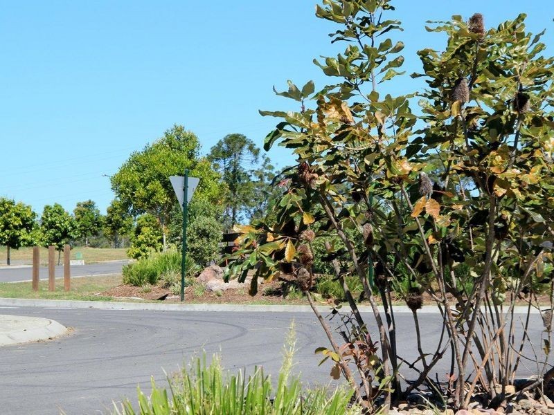 Timbers Reserve, Maryborough West QLD 4650