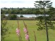 27 Errol, Maryborough QLD 4650