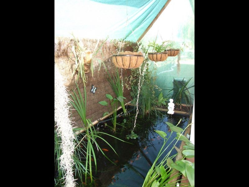 112 Neptune Street, Maryborough QLD 4650