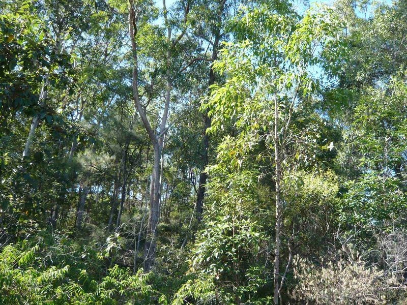 4 Harbord Place, Albany Creek QLD 4035