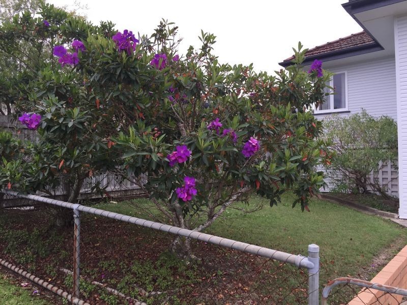 8 Ronmack Street, Chermside QLD 4032