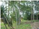 673 Beams Road, Carseldine QLD 4034