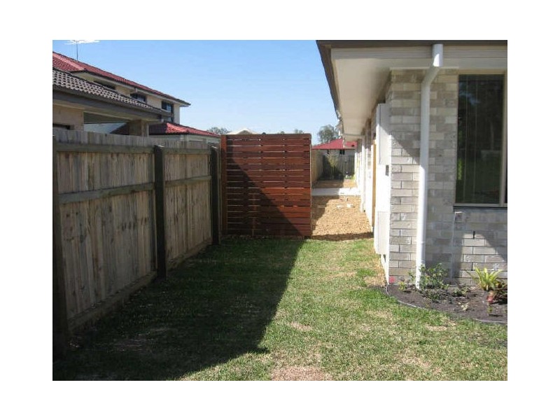 10 Taunton Street, Carseldine QLD 4034