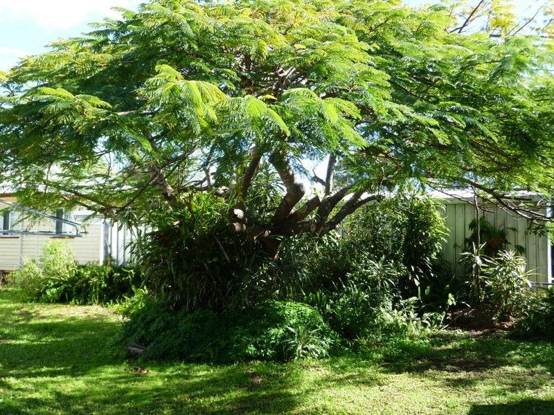 23 Edith Street, Deagon QLD 4017