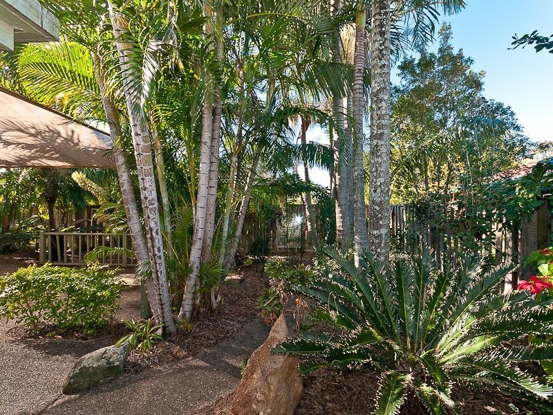 41 Canterbury Street, Bracken Ridge QLD 4017