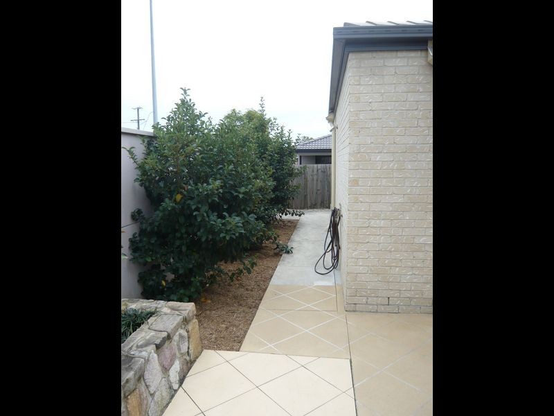 19 Sedgemoor Street, Carseldine QLD 4034