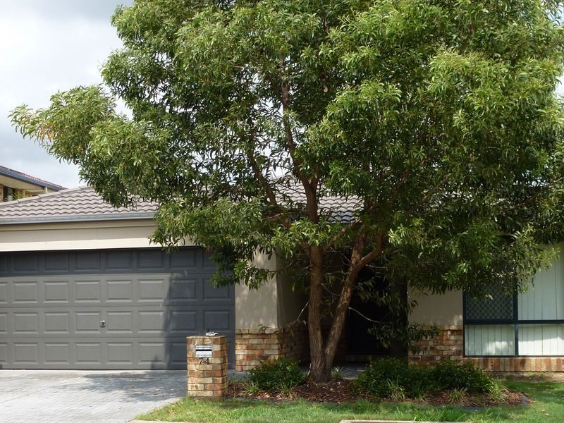 74 Denning Road, Bracken Ridge QLD 4017